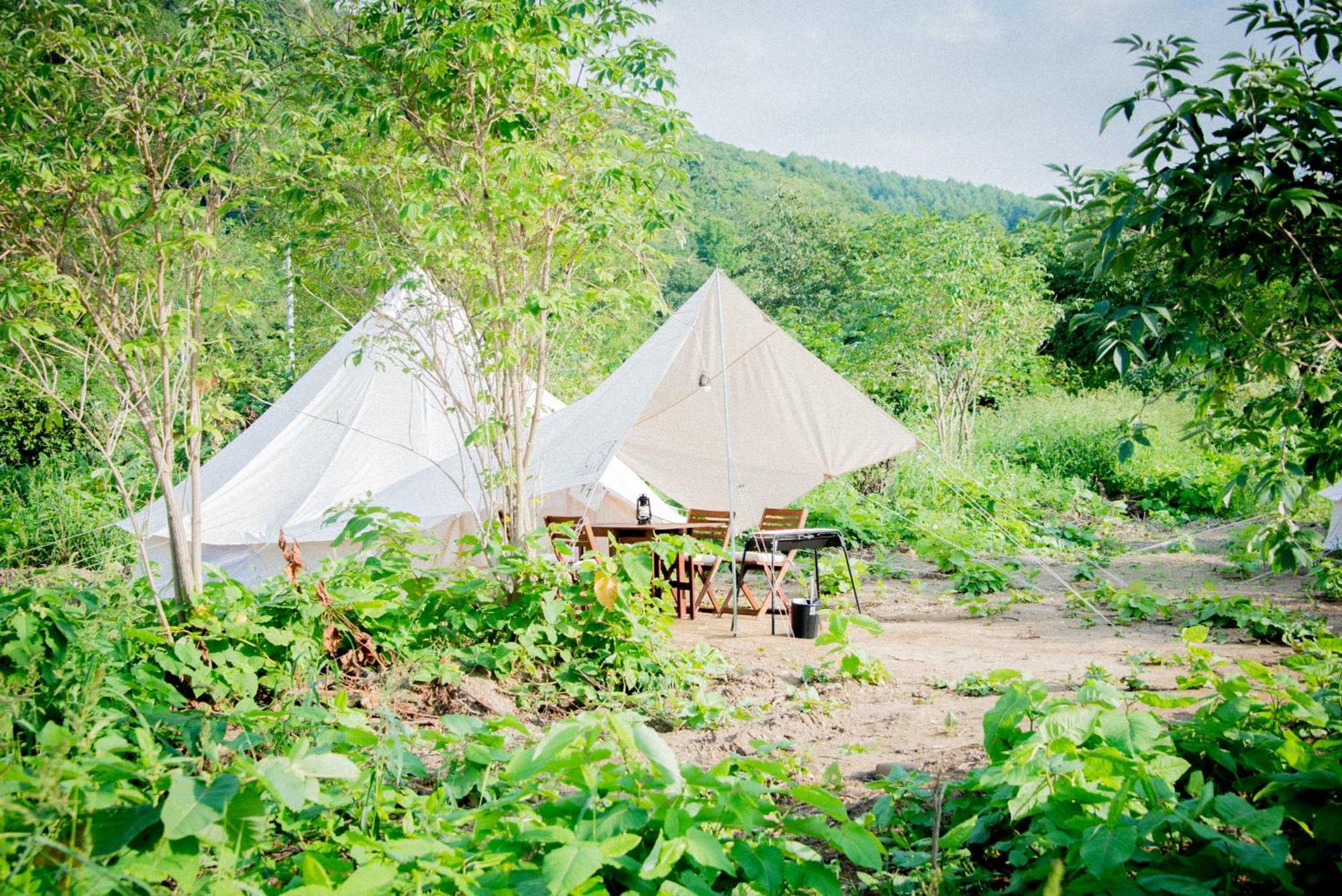 Yoichi Vineyard Glamping 호텔 외부 사진